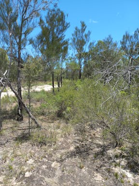 #2. Elliot River _2022-19-344_09-19_59.jpg