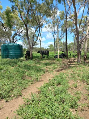 Spring _2022-20-344_09-20_72.jpg