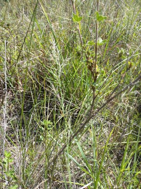 top plain creek_2022-25-344_09-25_21.jpg