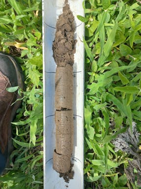 bull pdk_2022-36-344_09-36_78.jpg