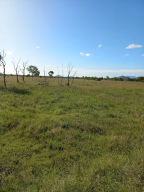 # Burnett_2022-35-344_09-35_17.jpg