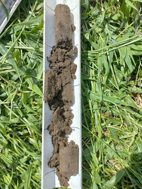 bull pdk_2022-36-344_09-36_81.jpg