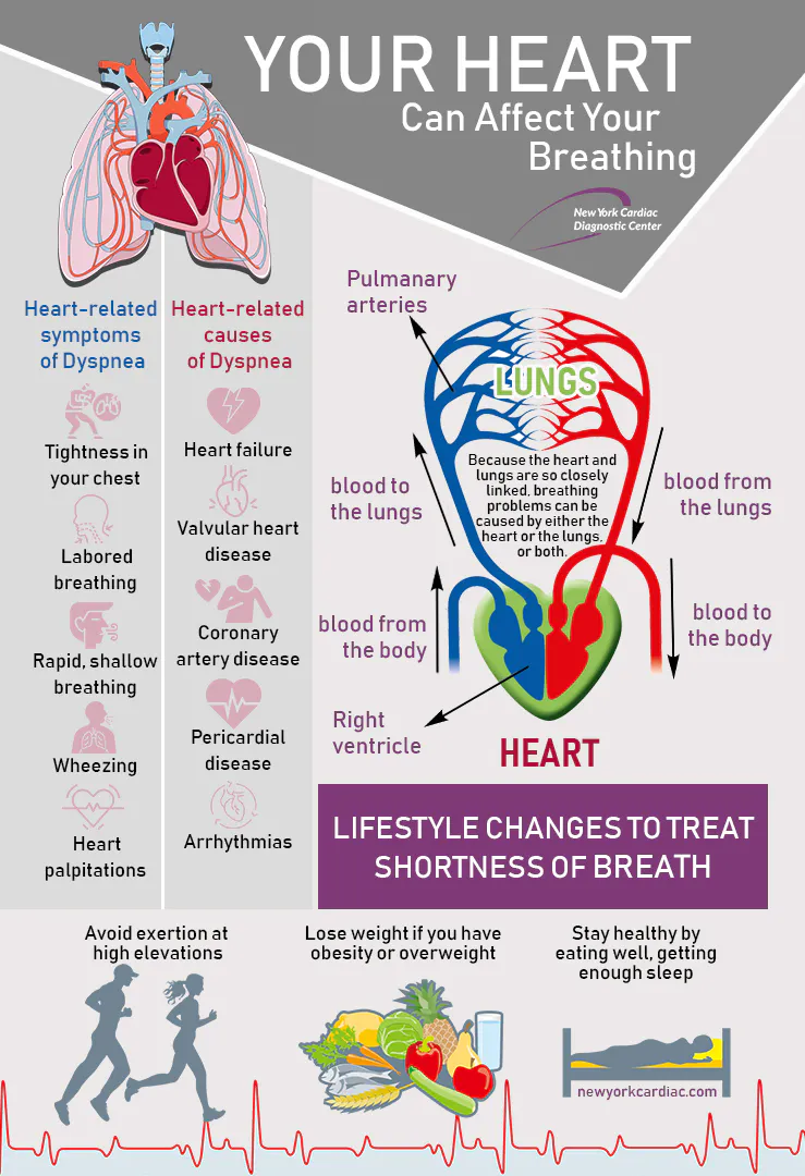 Heart Can Affect Your Breathing (1).jpg