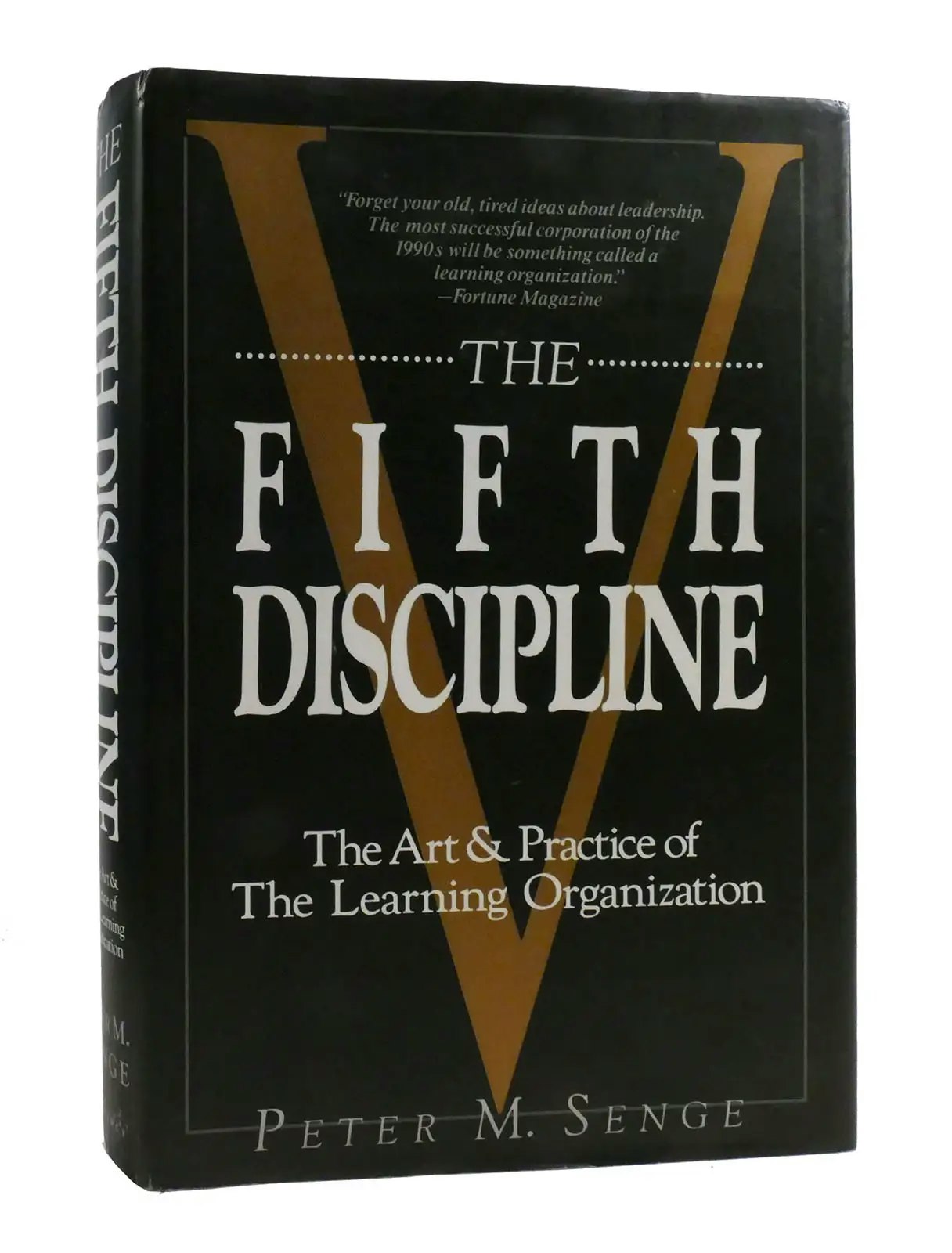 the fifth dicipline.webp