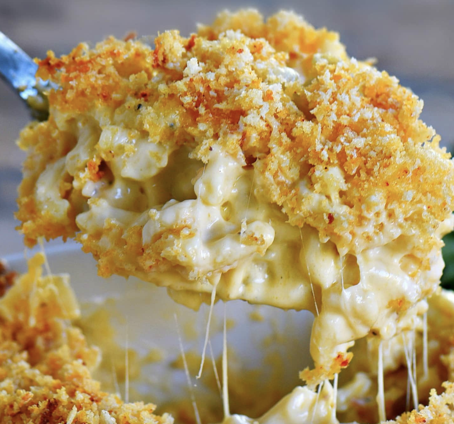 Screen Shot 2022-05-12 at 10.30.30 AM.png