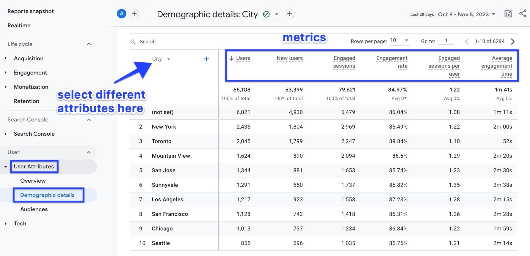 Analytics Demographic details City 2023-11-06 at 1.20.56 AM.jpg