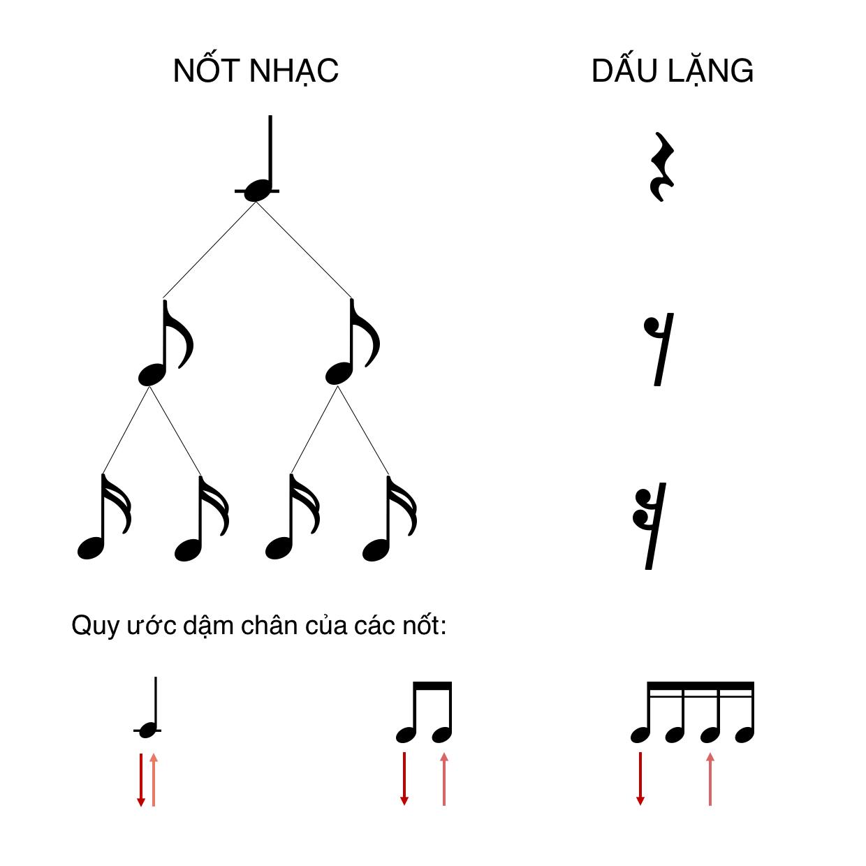 HÌNH-1.png