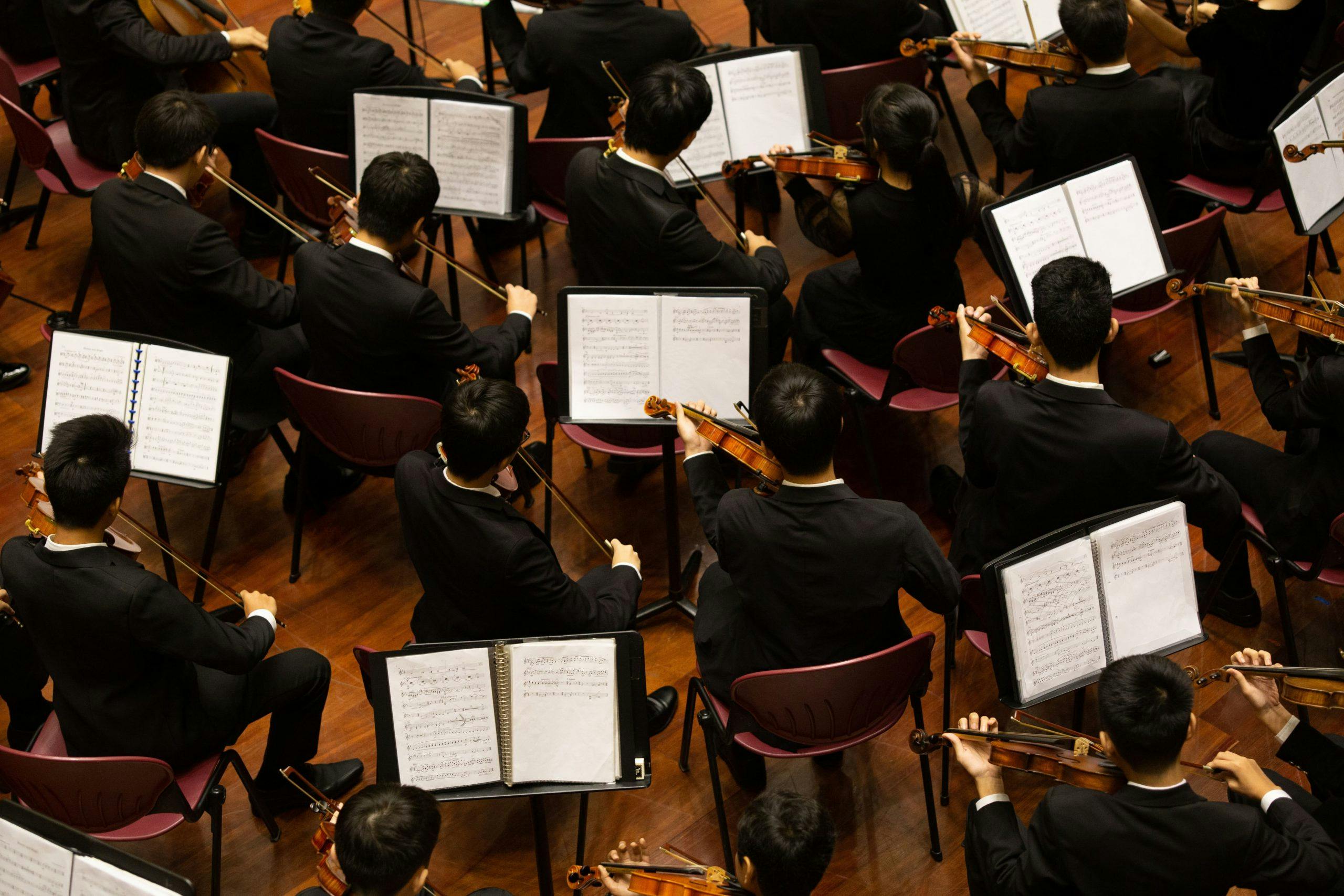 ADAM-MUZIC-dan-nhac-giao-huong-bo-day-String-scaled.jpg