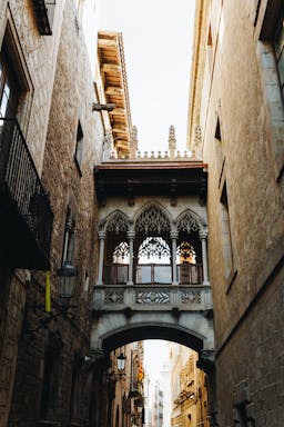 photo-1562861844-763c4ae2e696