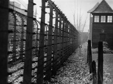 auschwitz.jpg