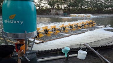 20181124_eFishery.jpg