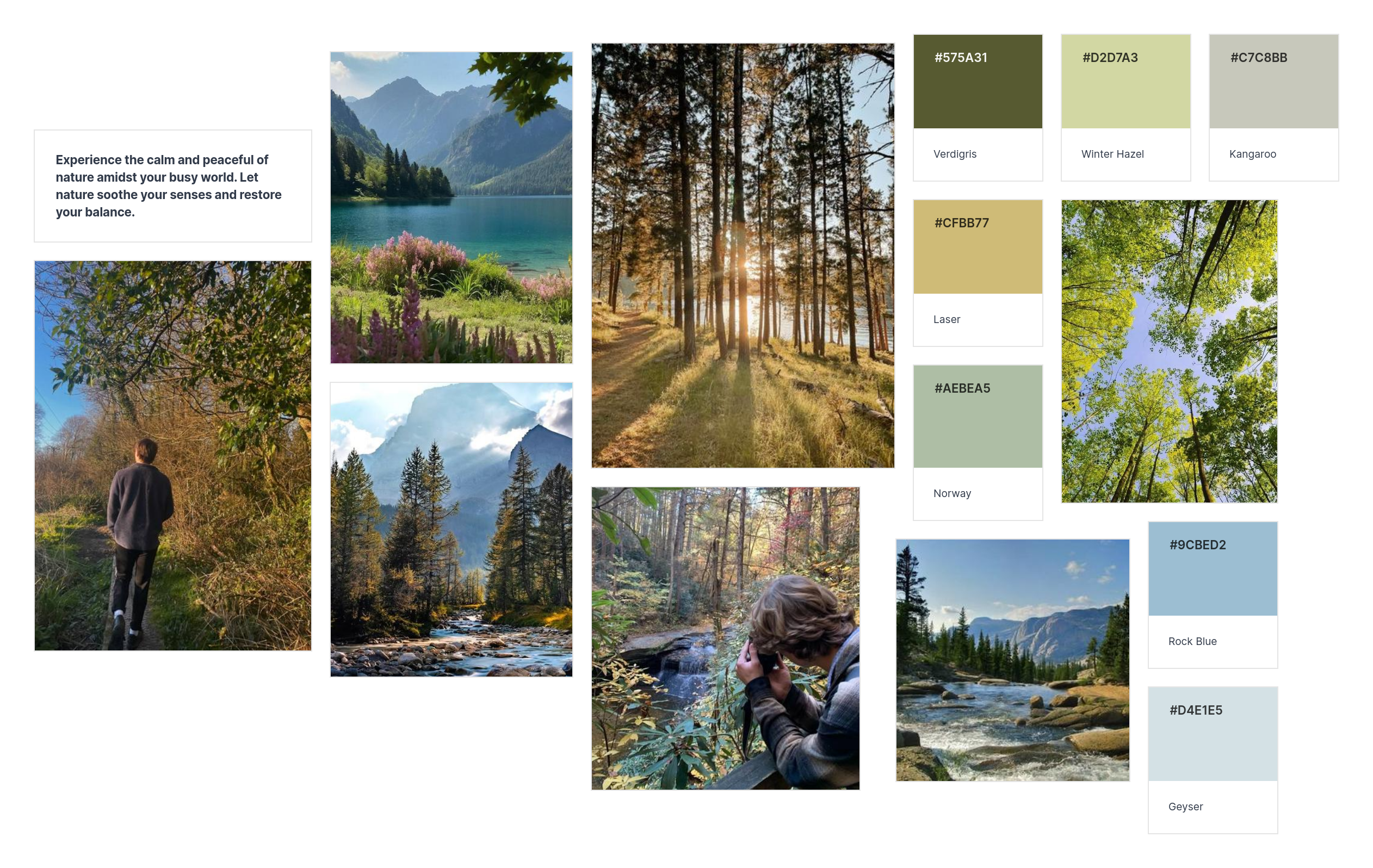 canvas_serene-nature-moodboard-250310_1533.png