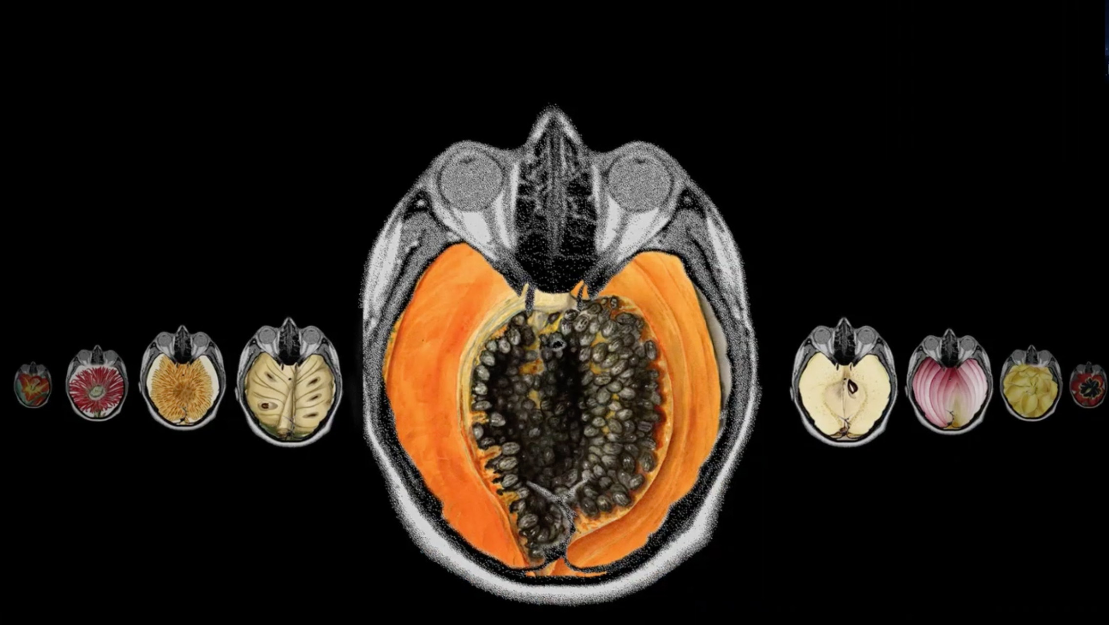 Screen Shot 2021-12-05 at 18.06.20.png