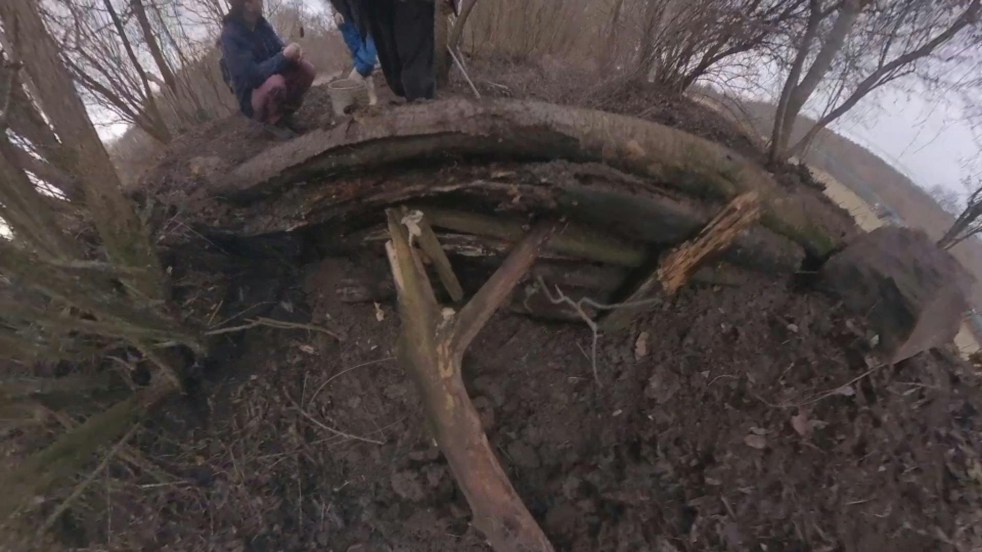 Rönkgát közeli felvétel