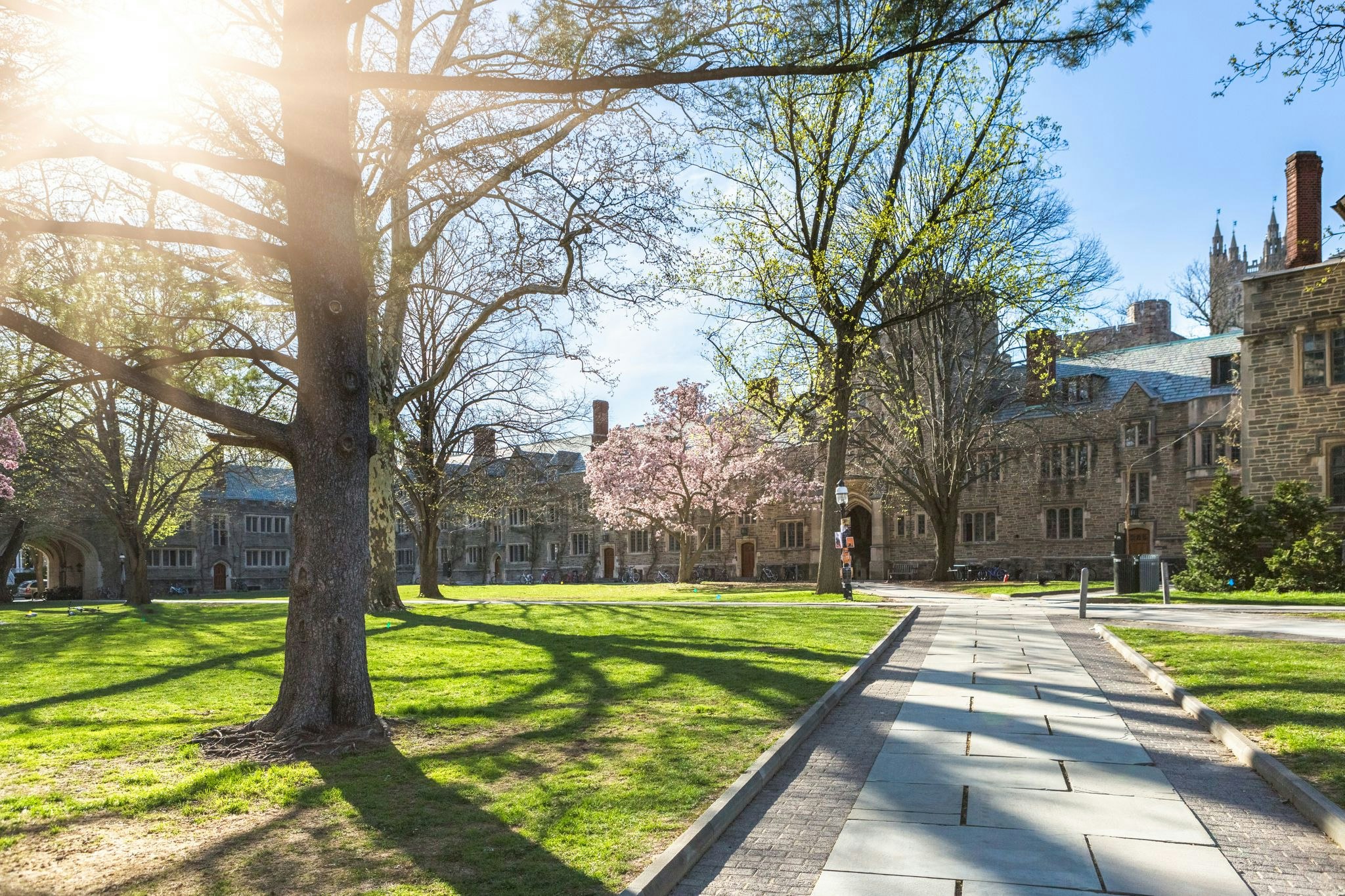 Princeton University Tuition