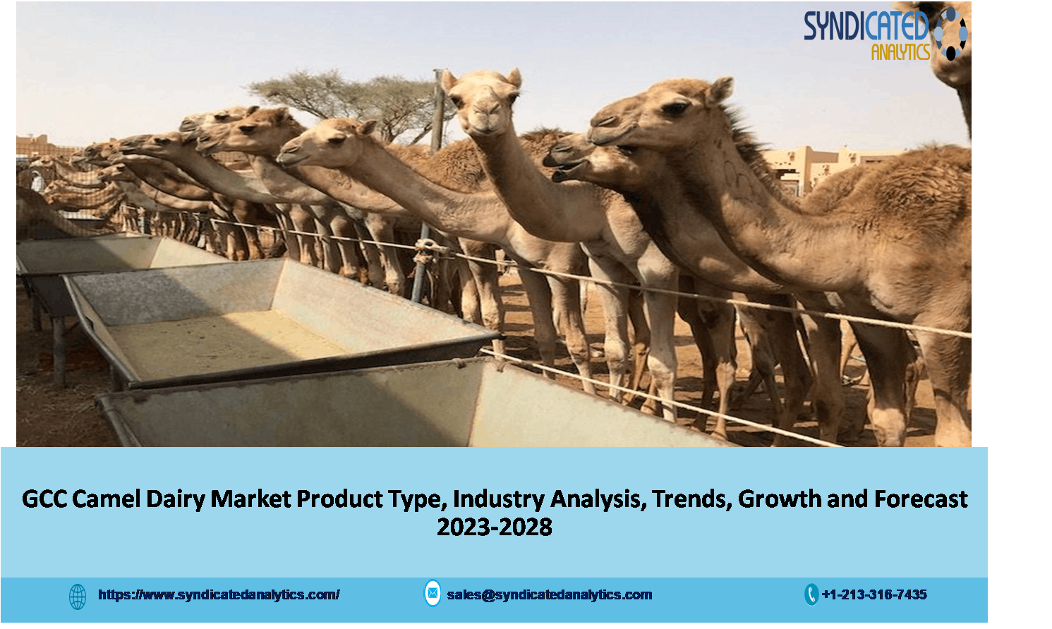 GCC Camel Dairy Market.png