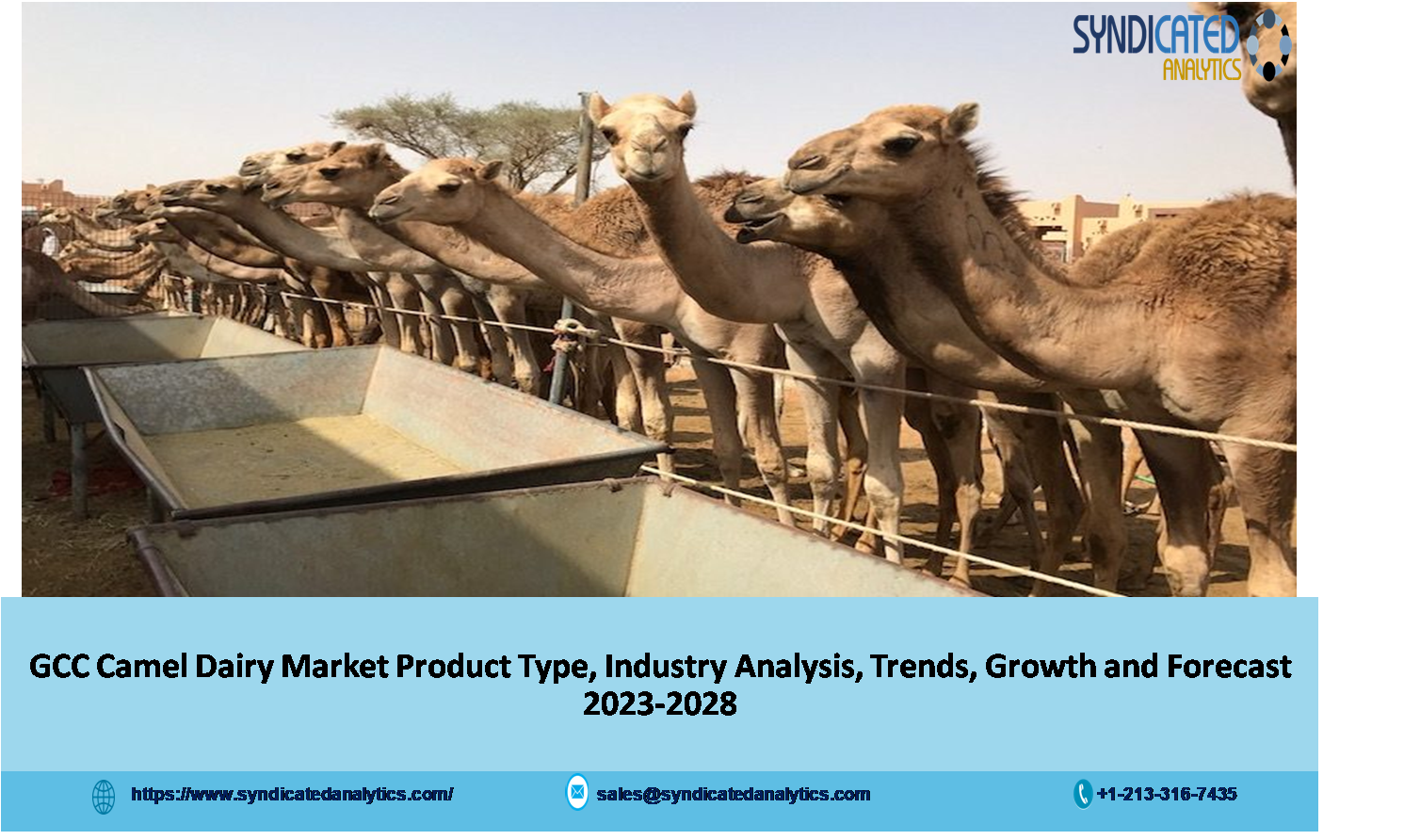 GCC Camel Dairy Market.png