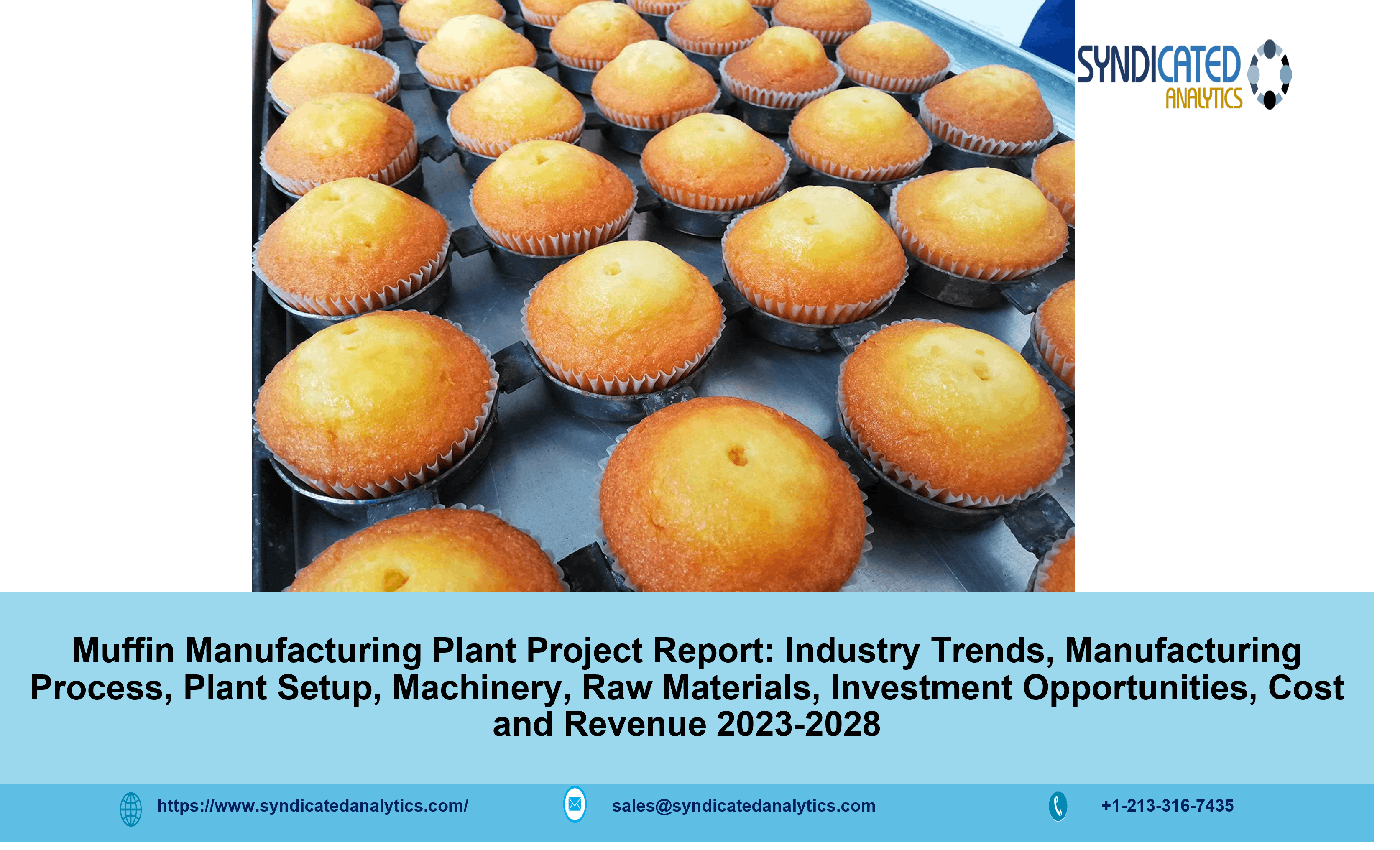 Muffin Manufacturing Plant Project Report.png