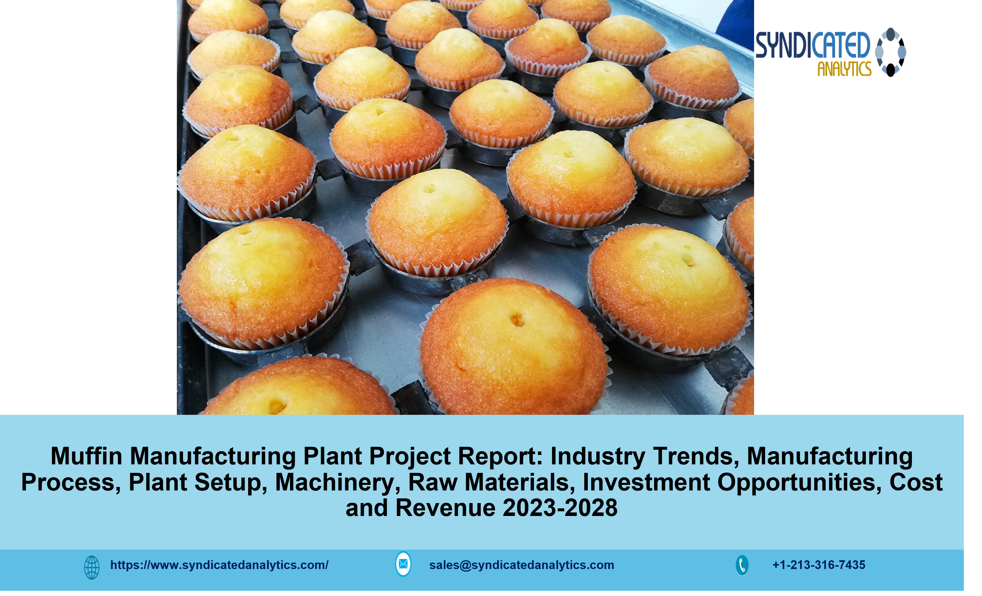 Muffin Manufacturing Plant Project Report.png