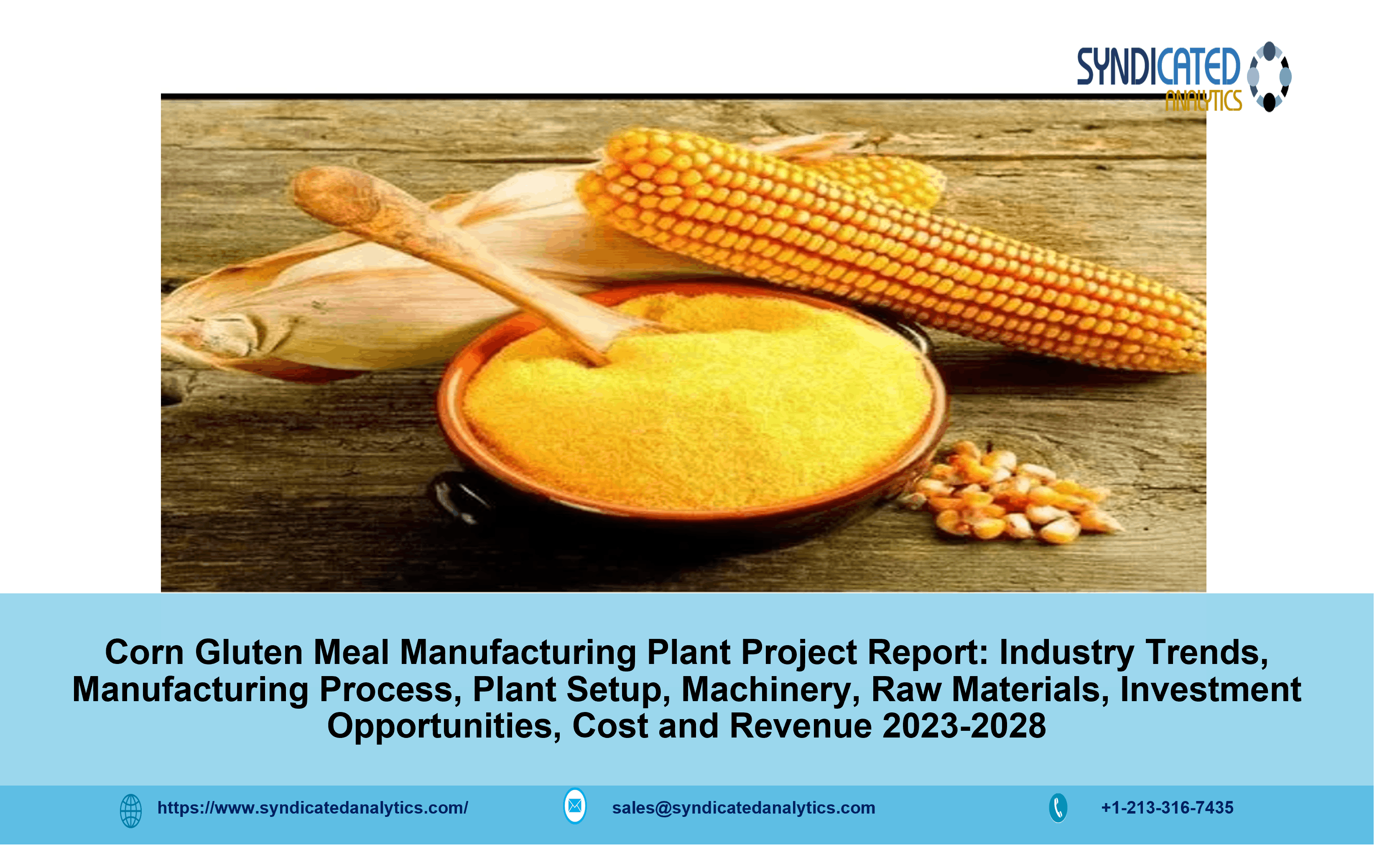 Corn Gluten Meal Manufacturing Plant Project Report.png