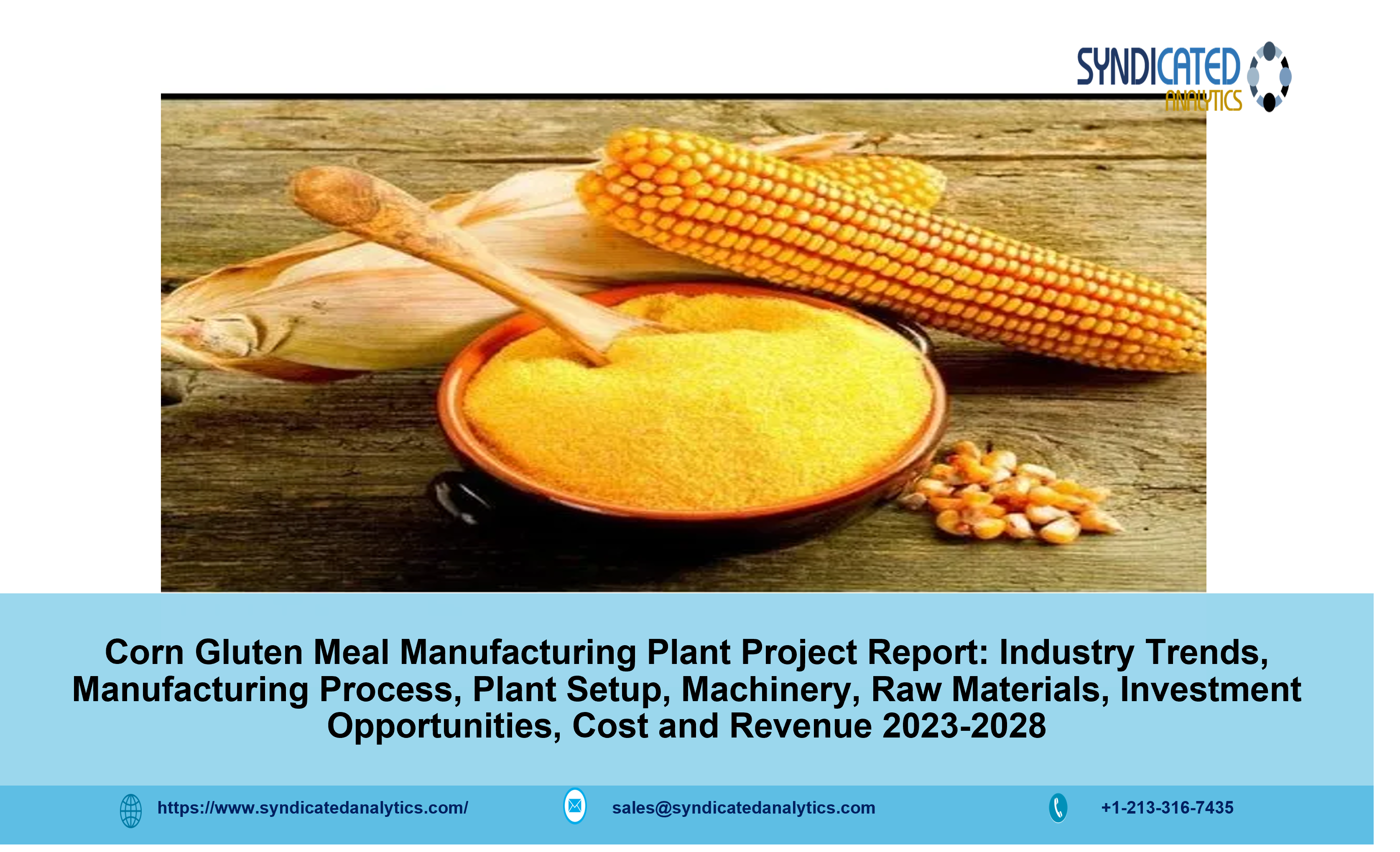 Corn Gluten Meal Manufacturing Plant Project Report.png