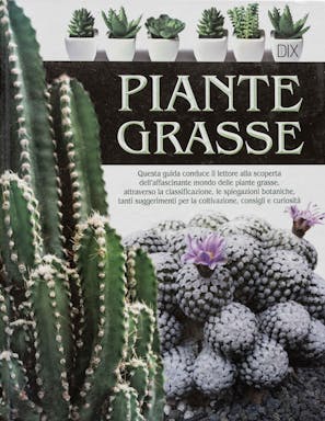 117_Piante Grasse.jpg