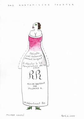 DasAnatomischeTheater_005_210x297mm_MiloradKrstic_RR 2005.jpg