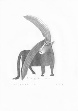 Portrait_Drawing_0146_A4_2022_Pegasus.jpg