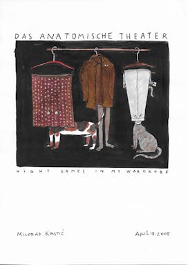 DasAnatomischeTheater_001_210x297mm_MiloradKrstic_Night Game in My Wardrobe 2005.jpg