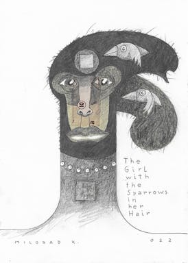 Portrait_Drawing_0158_A5_2022_TheGirlWithSparrowsInHerHair.jpg