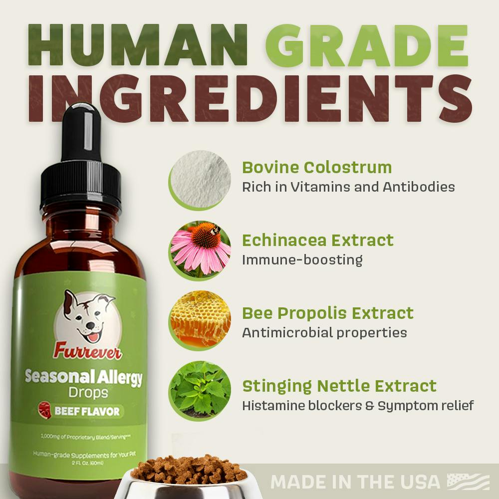 Artboard 5 copy 2.jpg