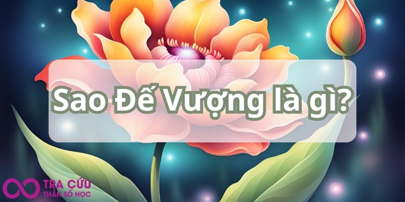 Sao Đế Vượng là gì.jpg