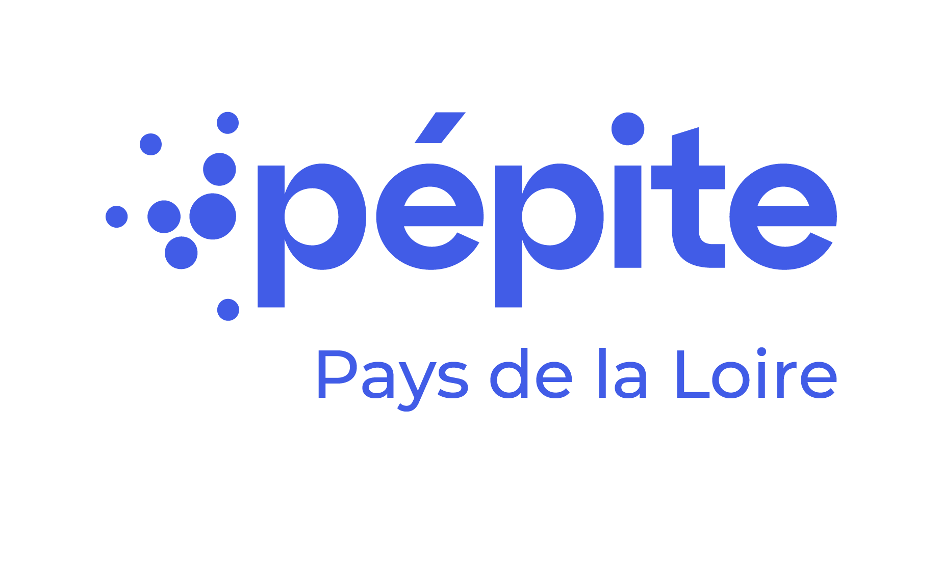 LOGO_PEPITE PDL_RVB_V1 Bleu.png