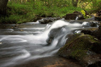 bowie nature park.png