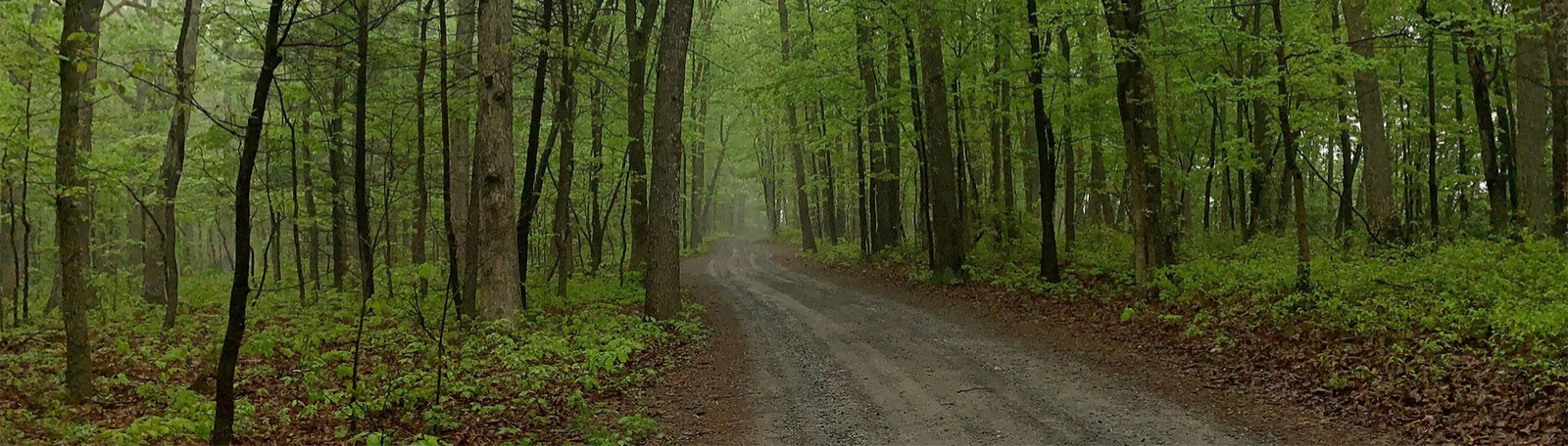 59407647_10155985151946681_4581627724166070272_o_edited - Edited.png