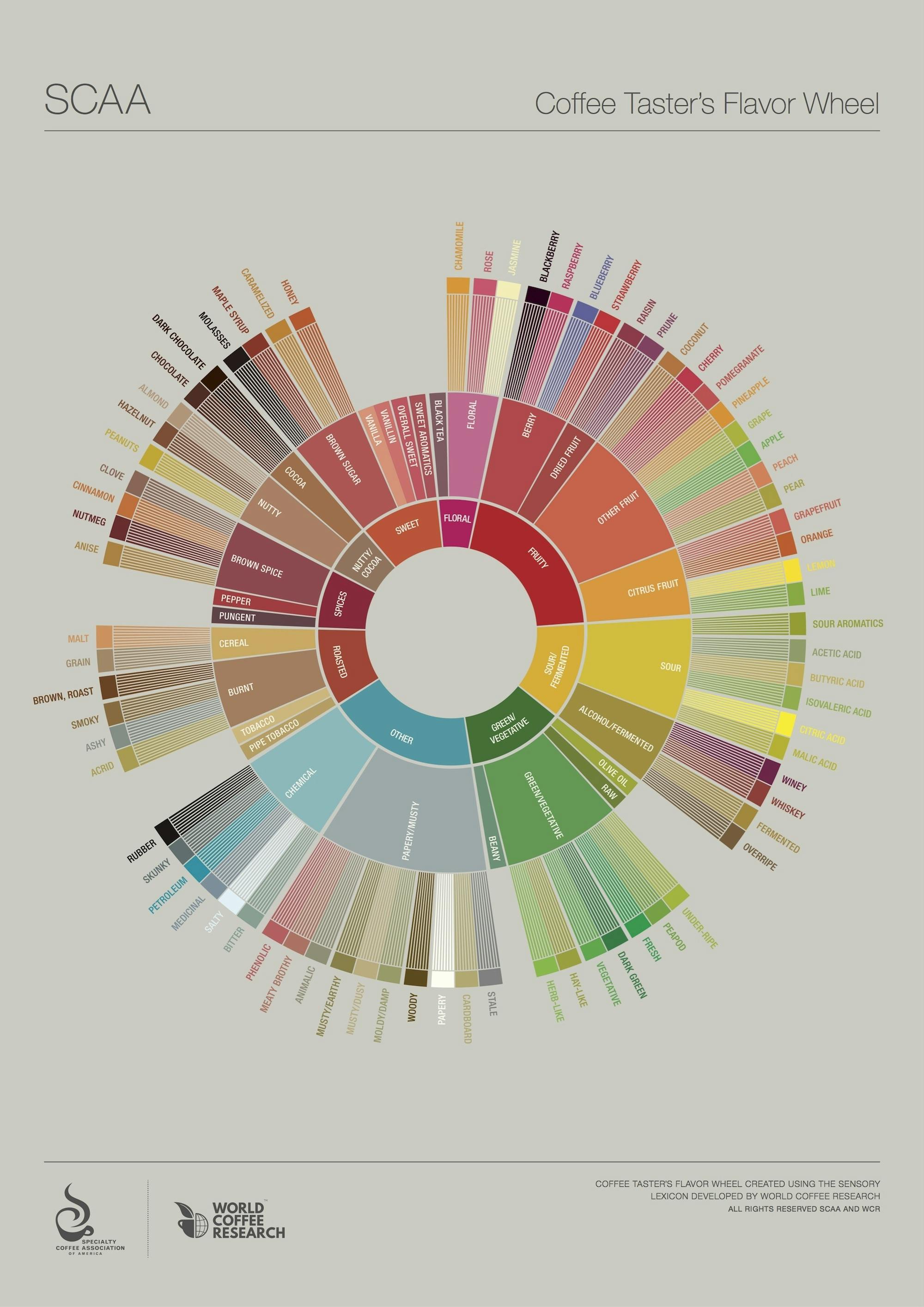 SCAA_FlavorWheel.01.18.15.jpg