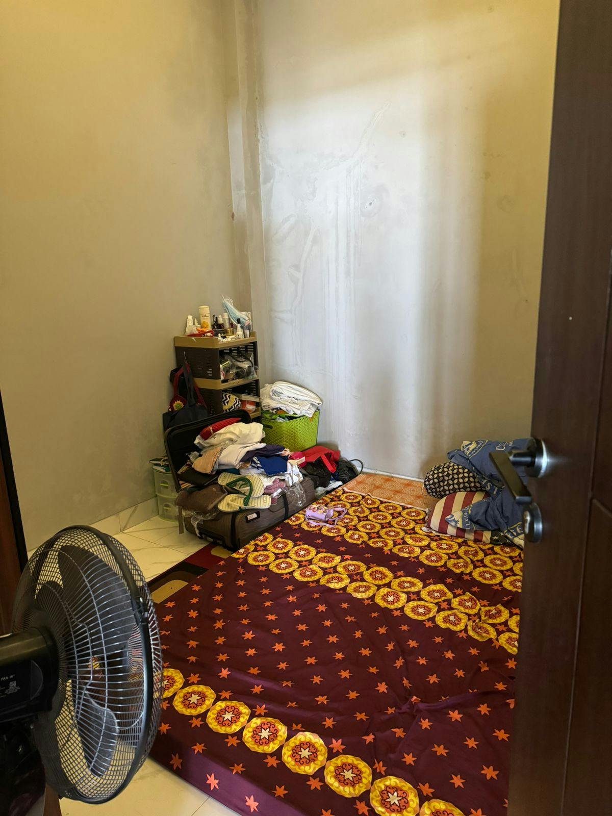 WhatsApp Image 2024-05-01 at 11.28.51.jpeg