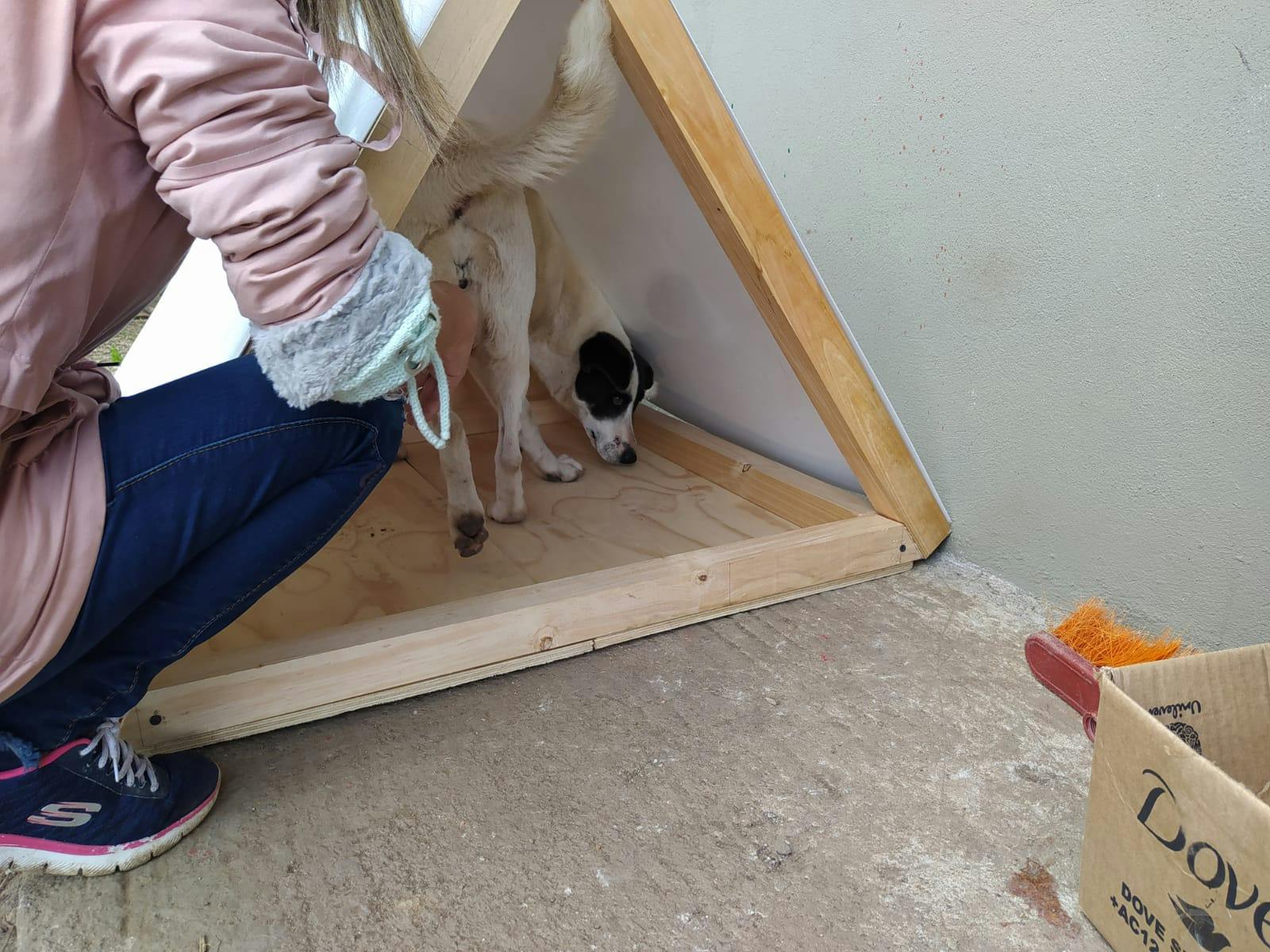 WhatsApp Image 2021-11-29 at 6.12.38 AM (1).jpeg