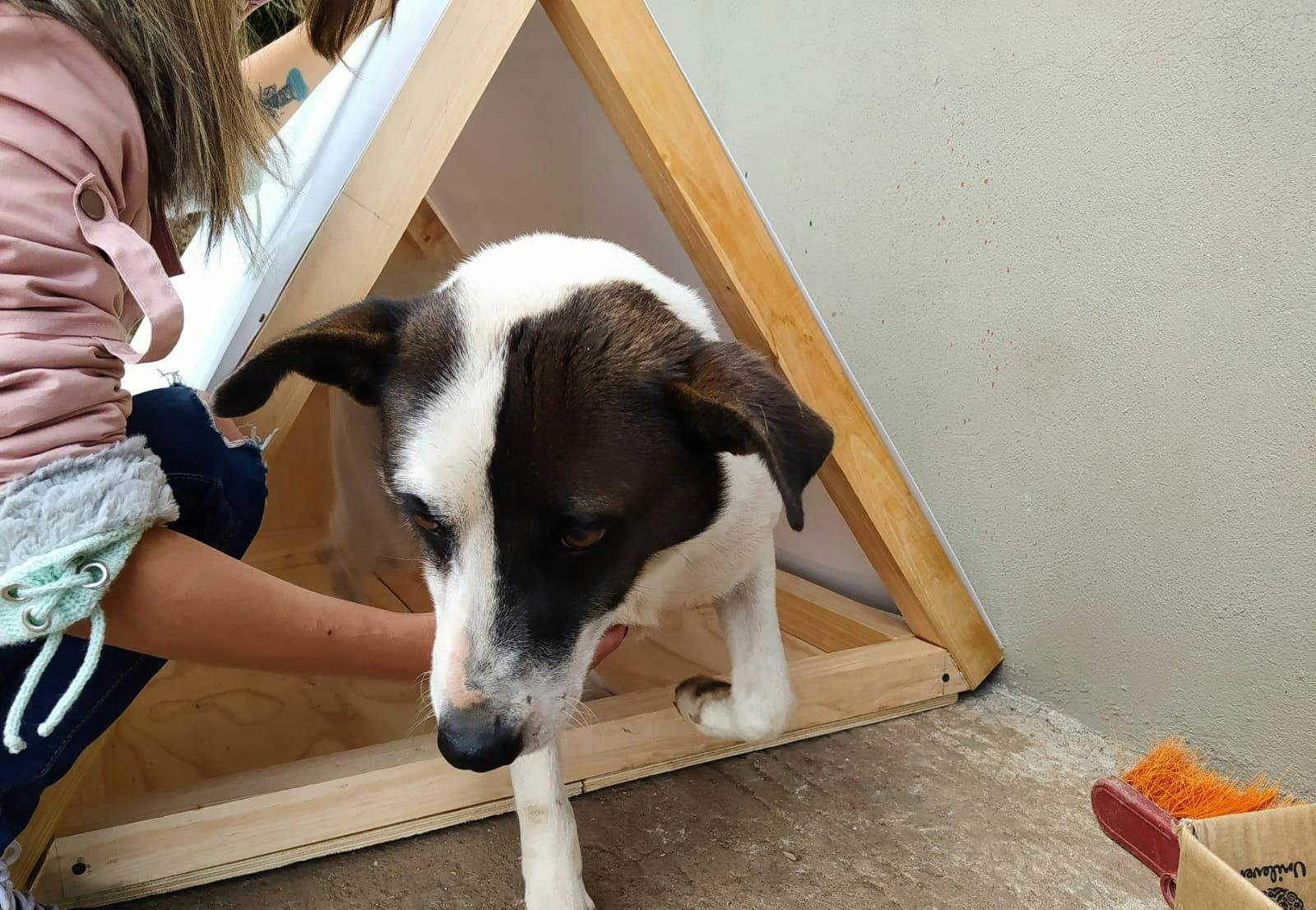 WhatsApp Image 2021-11-29 at 6.12.38 AM.jpeg