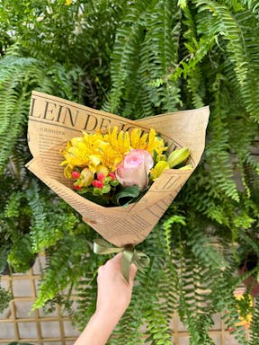 ee815dd3271f28a20105.webp