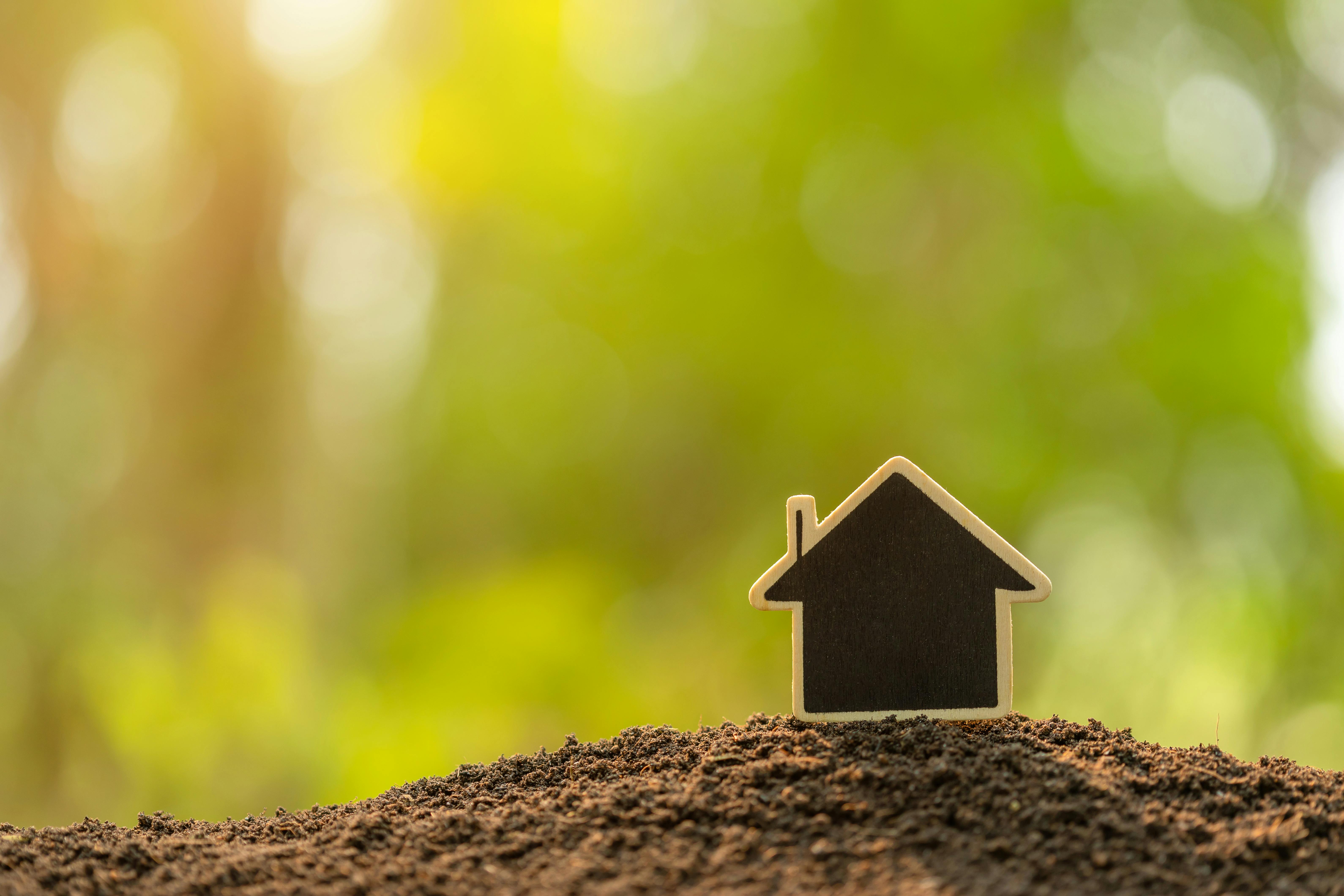 vecteezy_wooden-house-growing-in-soil-on-green-nature-blur_6037240_115.JPG