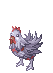 4_NFCOCK.gif