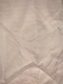 IMG_7959.jpeg