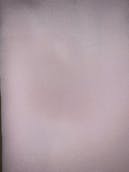 IMG_7857.jpeg