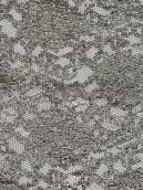 IMG_7958.jpeg