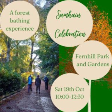 Danú-Forest-Bathing-danuforestbathing-•-Instagram-photos-and-videos-10-10-2024_02_36_PM.png