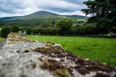 Mount-Leinster-from-Rathanna--1024x683- carlow blackstairs.jpg