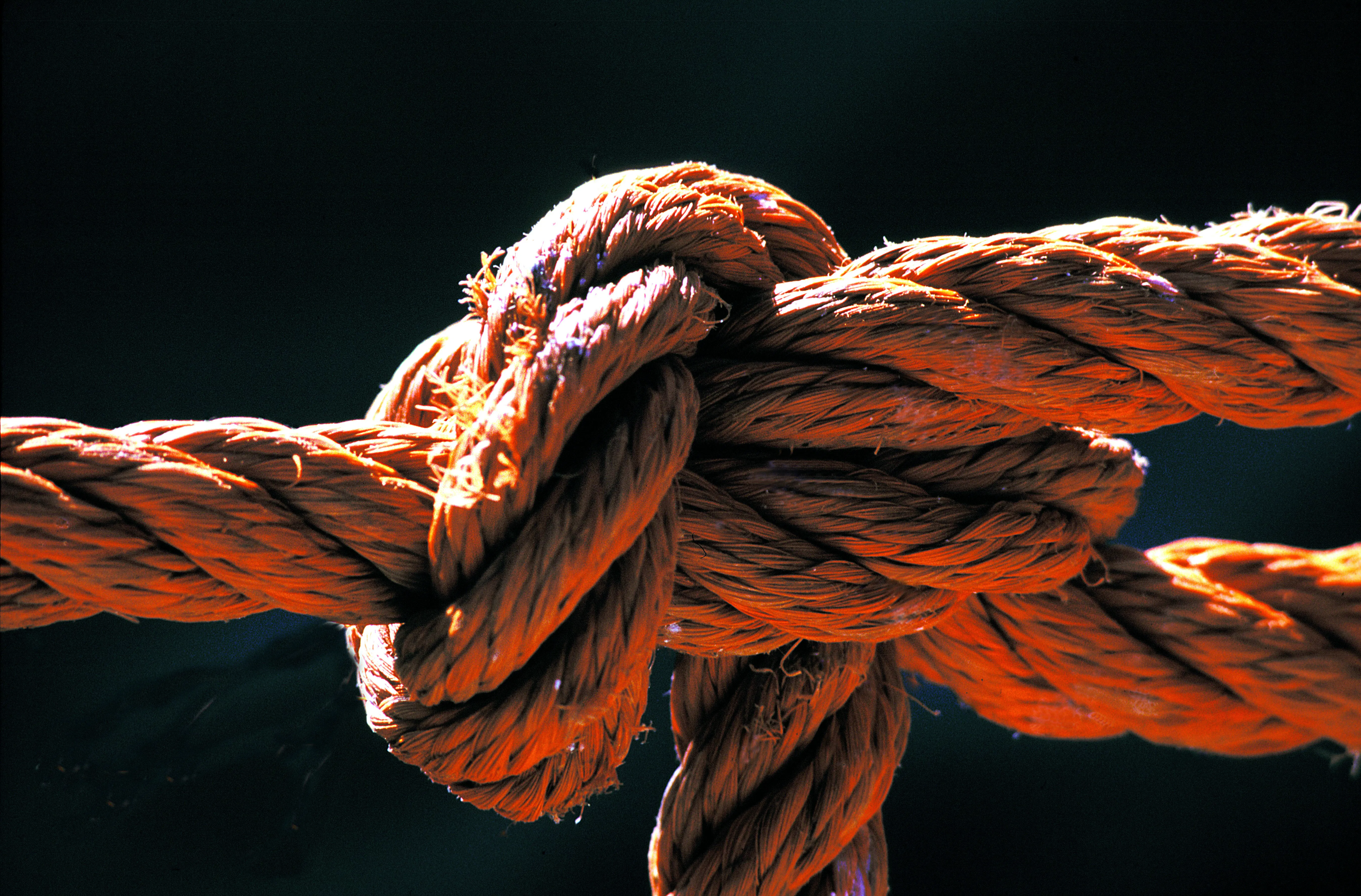 boondoggle.jpg