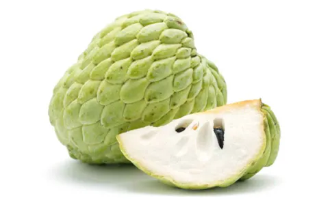 Image50.jpg
