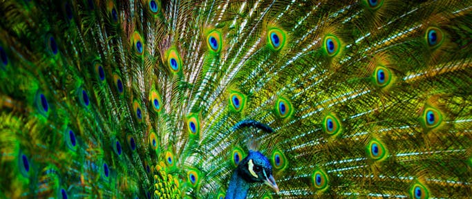 wallpaperflare.com_wallpaper (12).jpg